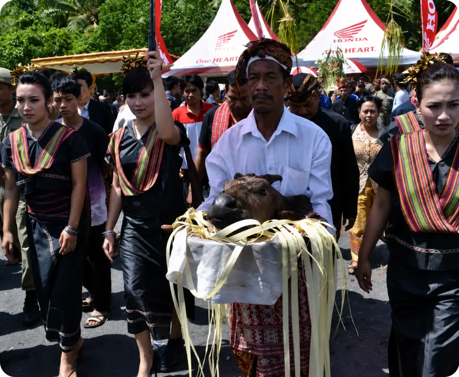 Alang-Alang — Lumbung Suci