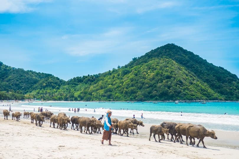 Pantai Selong Belanak